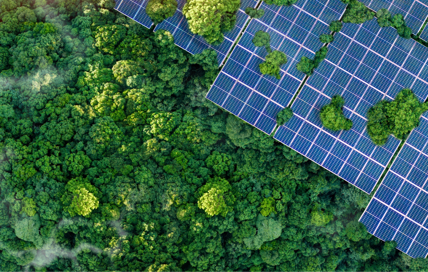 Con BIAE puoi contare su